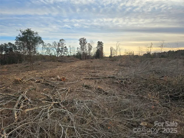 a view of a dry yard with wooden fence