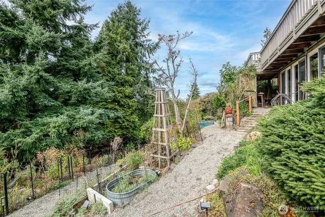 a view of a chairs and table in the backyard