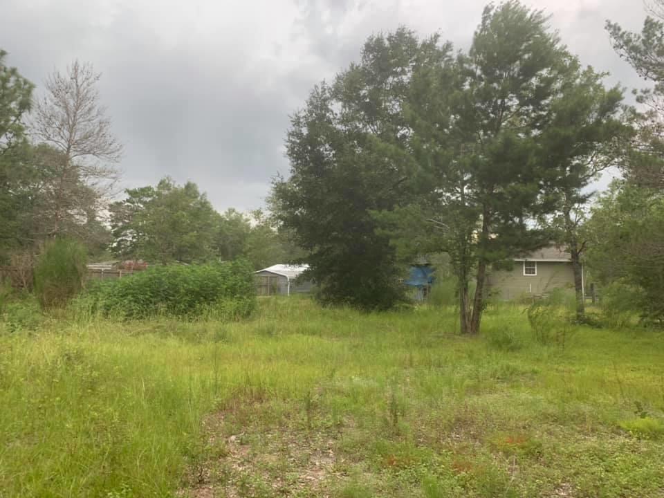 119 East Picasso Road DeFuniak Springs, FL 32433 - Photo 15 of 16 108000752_10220323590457046_720100343436