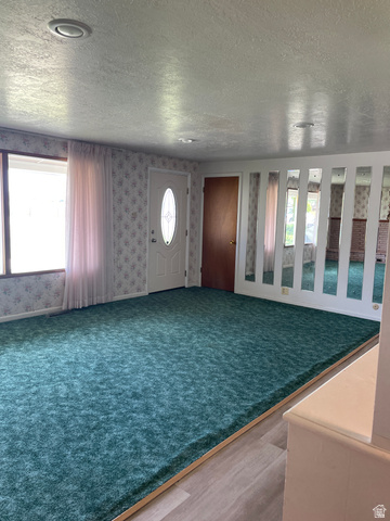 438 East Main Street Elsinore, UT 84724 - Photo 15 of 43 Spacious interior room featuring plush green carpeting and light wood-finish flooring
