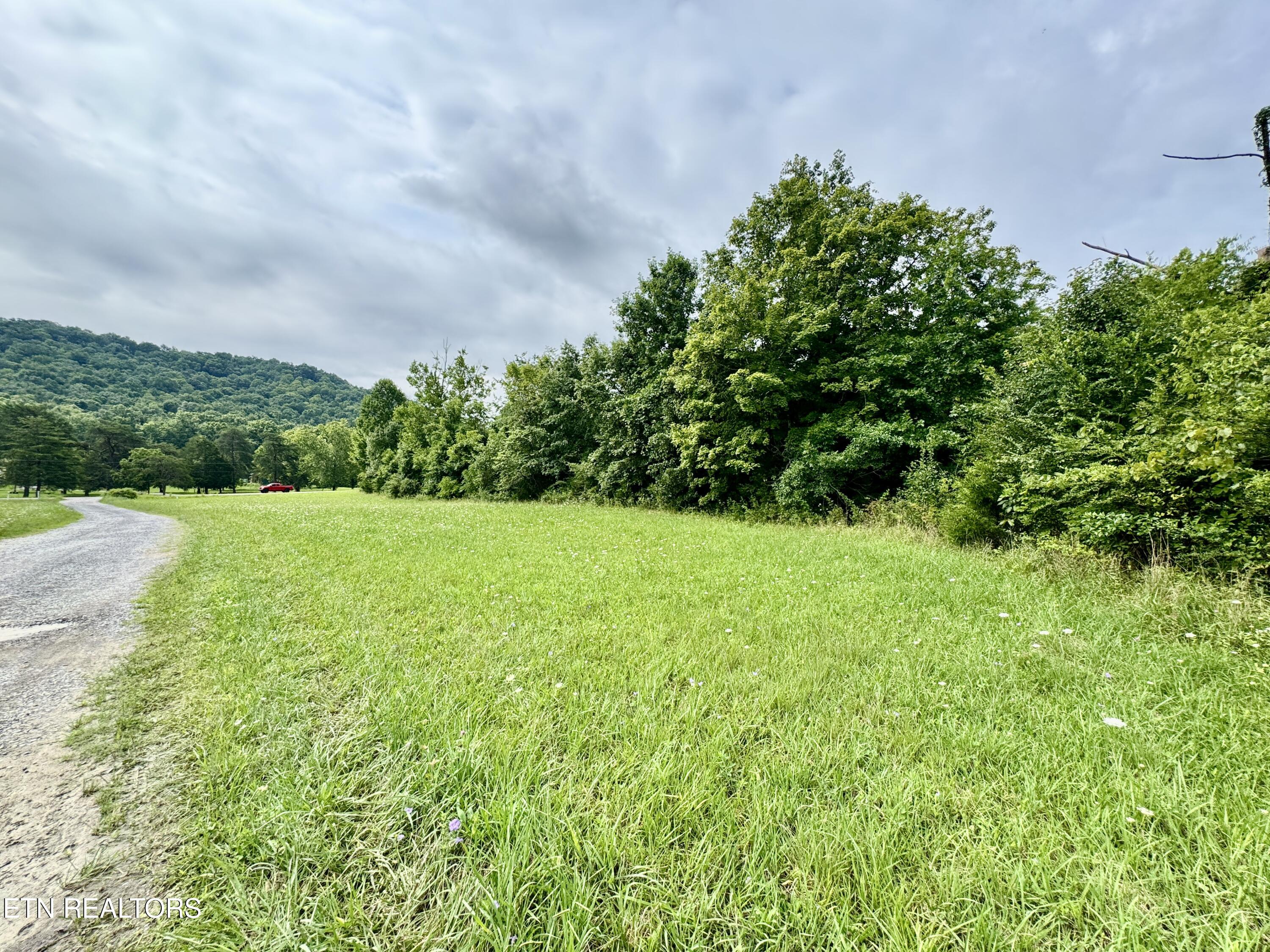 1717 West Raccoon Valley Drive Heiskell, TN 37754 - Photo 3 of 44 1-3