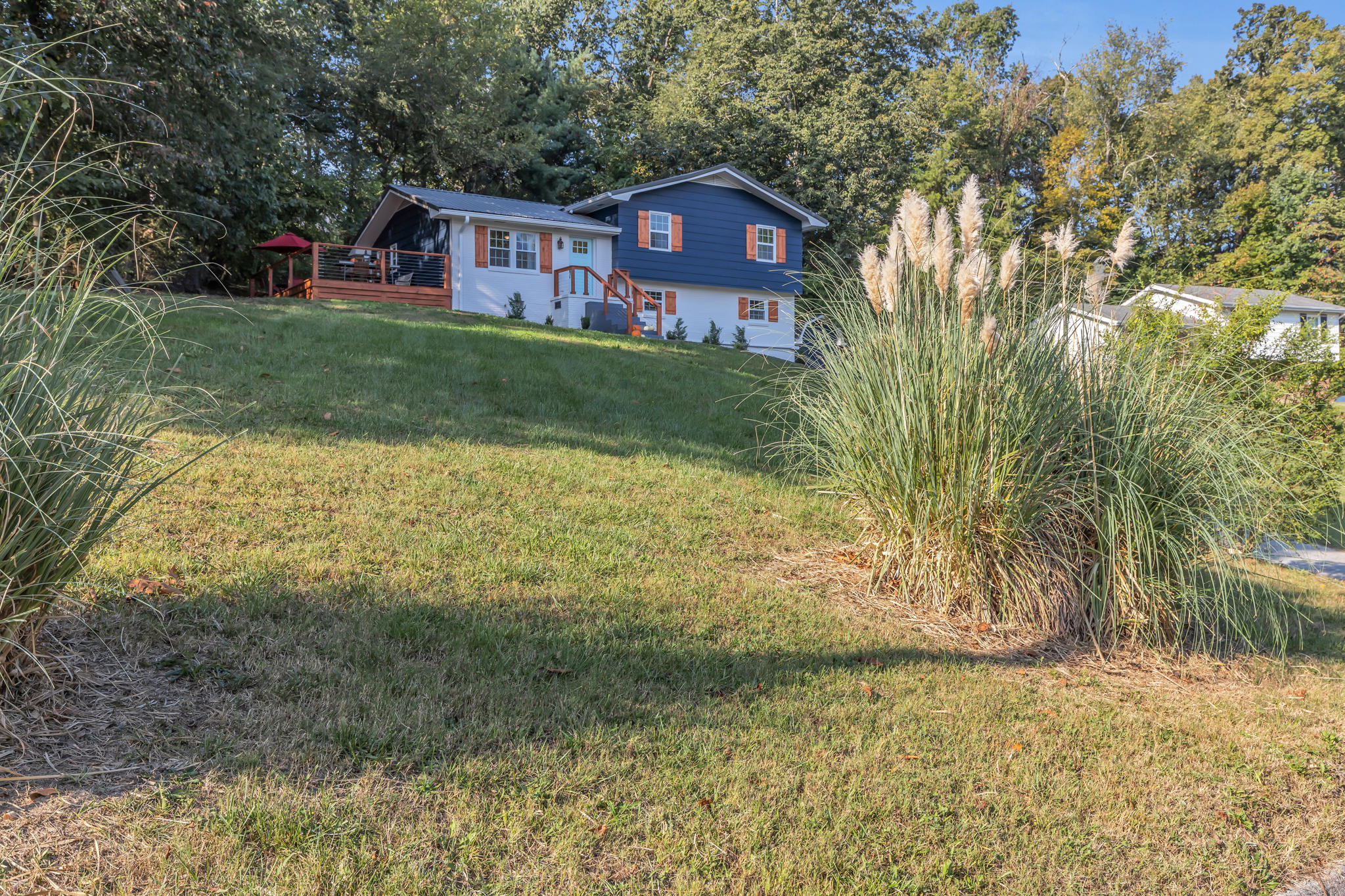 45 Spring Circle Ringgold, GA 30736 - Photo 26 of 29 4A8A2726