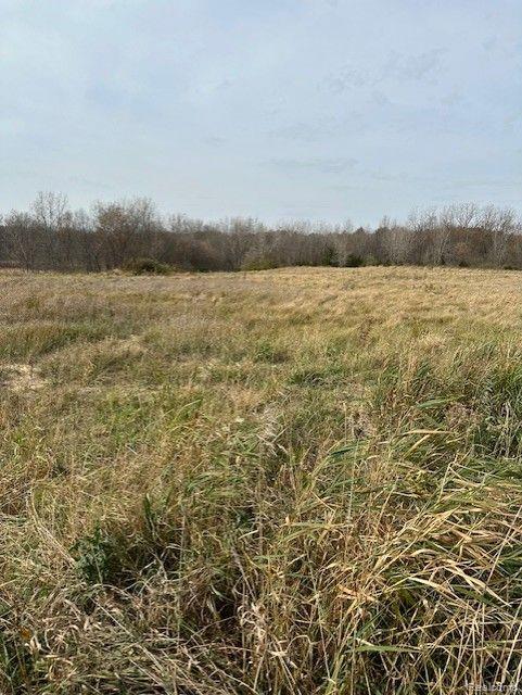8438 Jordan Road Grand Blanc, MI 48439 - Photo 30 of 32
