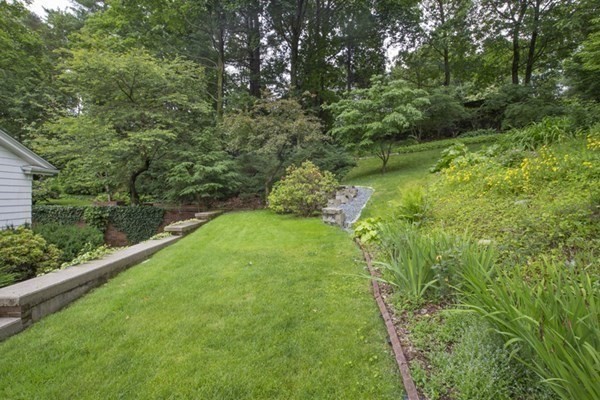 150 Buckminster Road Brookline, MA 02445 - Photo 15 of 25 a view of a garden with a lake