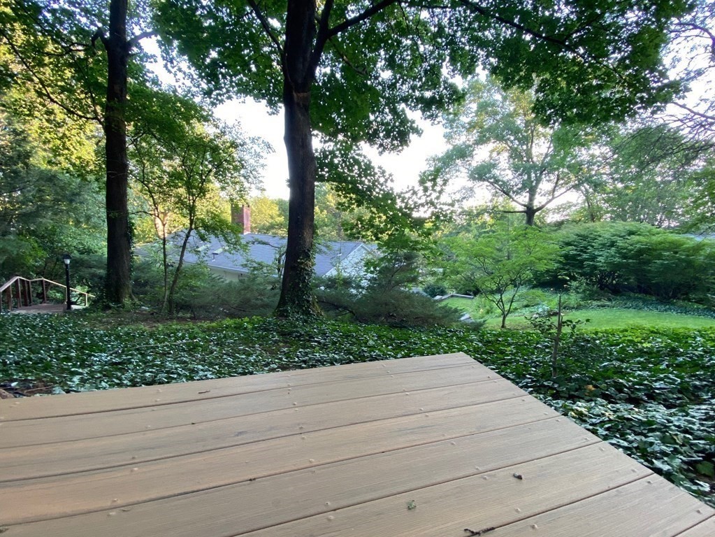 150 Buckminster Road Brookline, MA 02445 - Photo 4 of 25 a view of a park with large trees