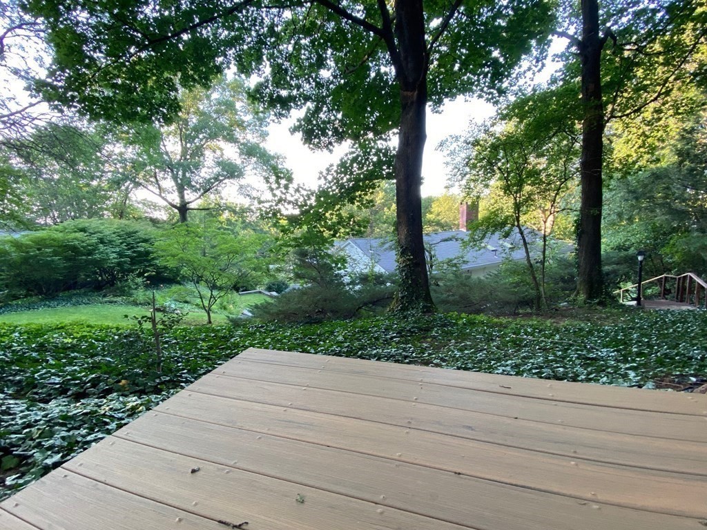 150 Buckminster Road Brookline, MA 02445 - Photo 5 of 25 a view of a yard with plants and trees