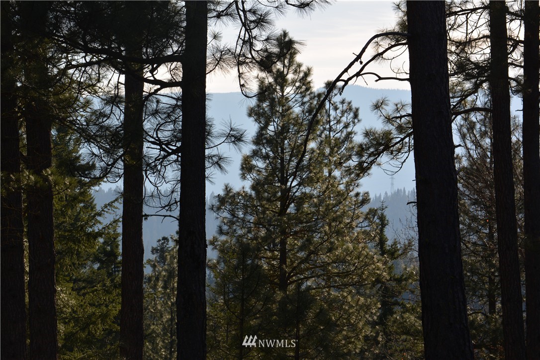 170 Rinky Dink Lane Cle Elum, WA 98922 - Photo 2 of 17