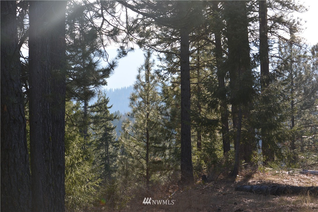 170 Rinky Dink Lane Cle Elum, WA 98922 - Photo 3 of 17