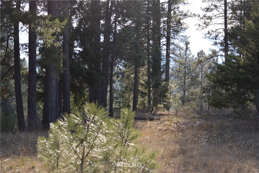 170 Rinky Dink Lane Cle Elum, WA 98922 - Photo 5 of 17