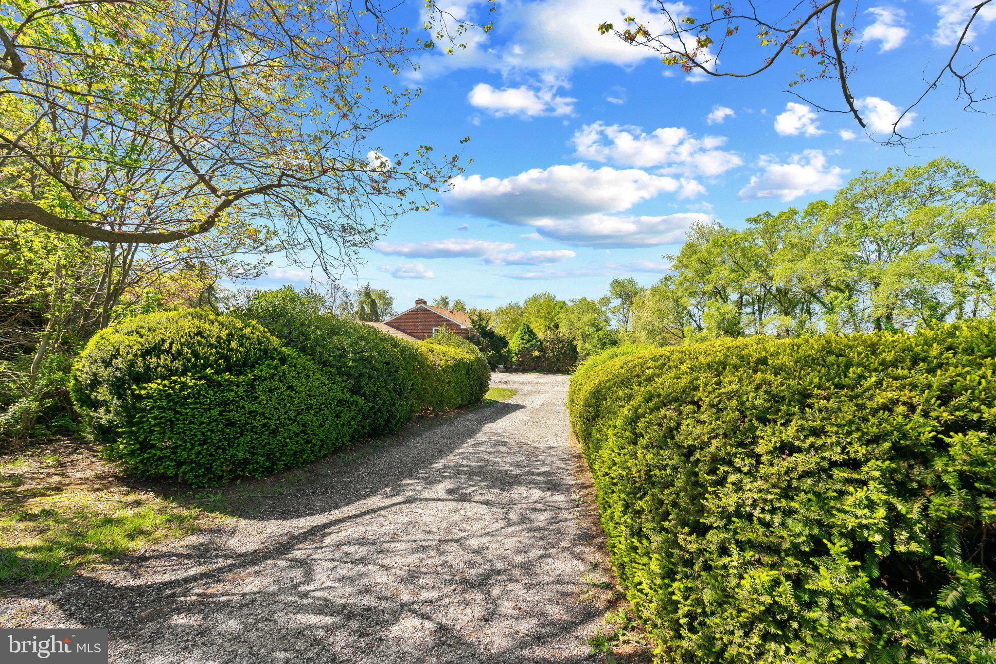 5422 Woodbine Road Woodbine, MD 21797 - Photo 4 of 39 Serene pathway through lush greenery.
