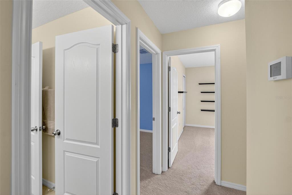 8435 Hunters Fork Loop Ruskin, FL 33573 - Photo 41 of 88