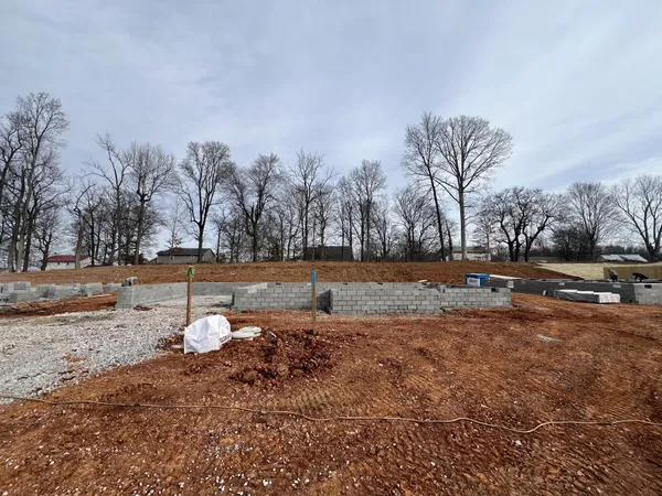 a view of a dry yard with trees