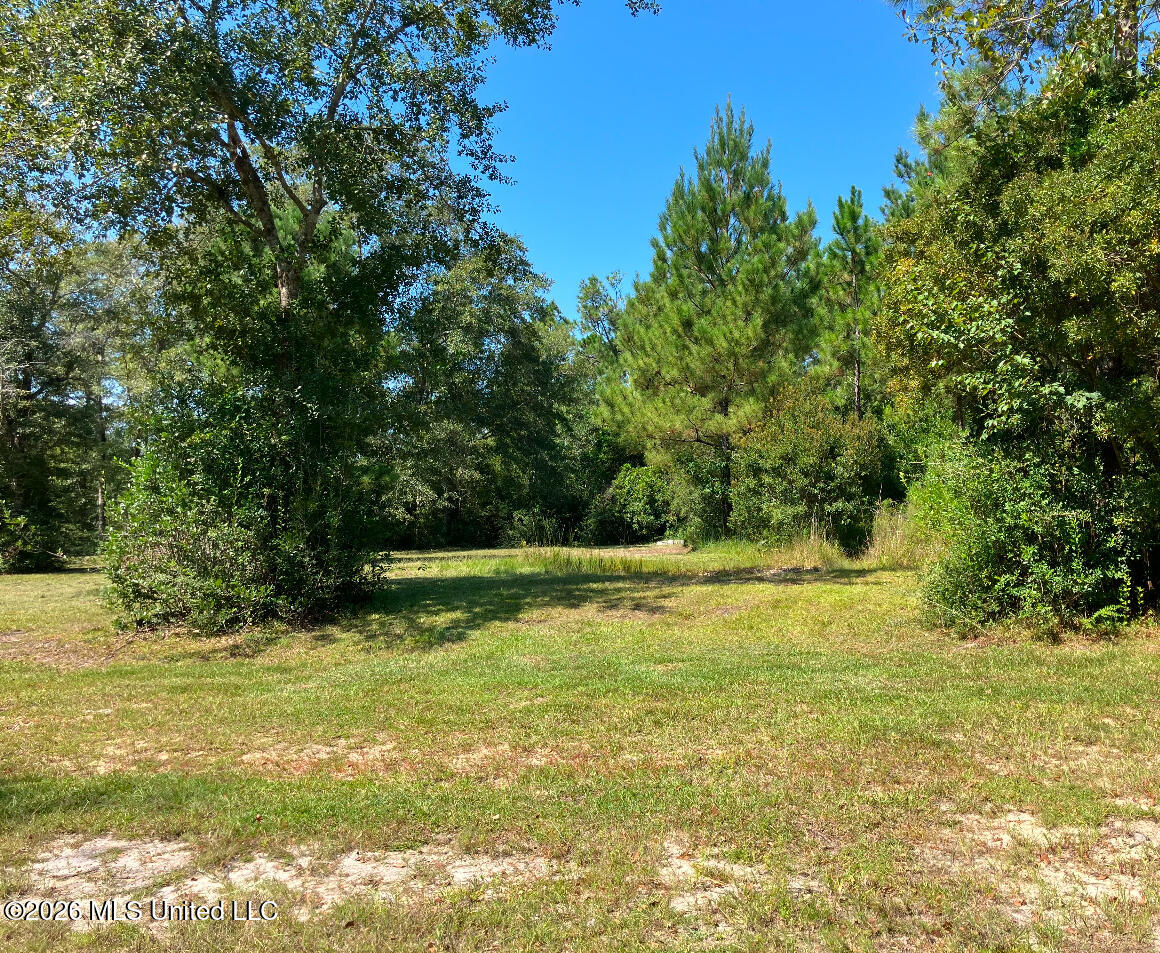 2.88-ac Morrison Road Lucedale, MS 39452 - Photo 5 of 12 IMG_3731