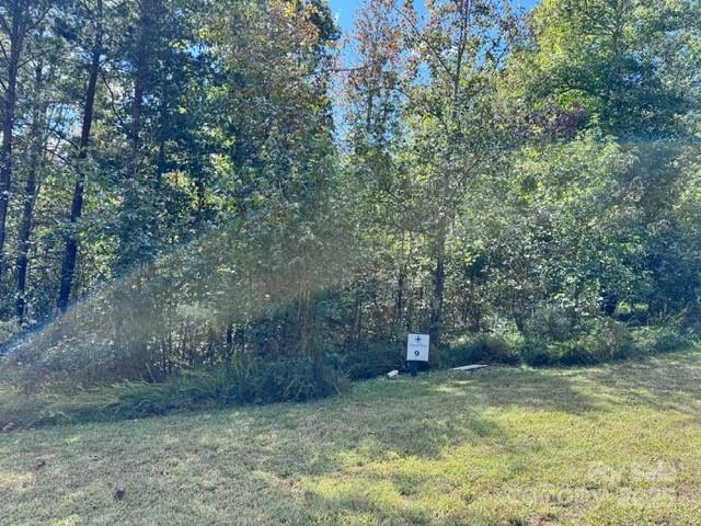 V/l Ridge Point Road, Unit 9 Nebo, NC 28761 - Photo 4 of 15