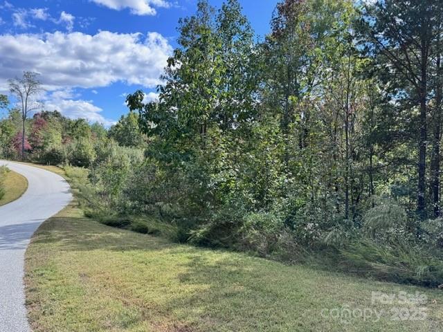 V/l Ridge Point Road, Unit 9 Nebo, NC 28761 - Photo 5 of 15