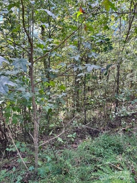 V/l Ridge Point Road, Unit 9 Nebo, NC 28761 - Photo 6 of 15