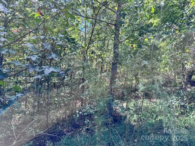 V/l Ridge Point Road, Unit 9 Nebo, NC 28761 - Photo 7 of 15