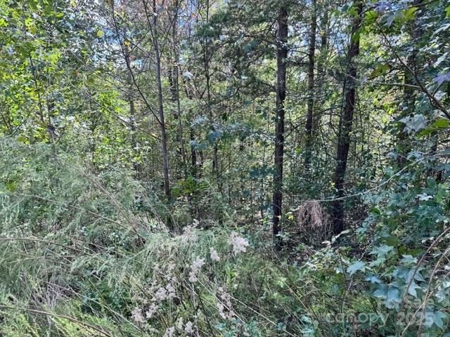 V/l Ridge Point Road, Unit 9 Nebo, NC 28761 - Photo 8 of 15
