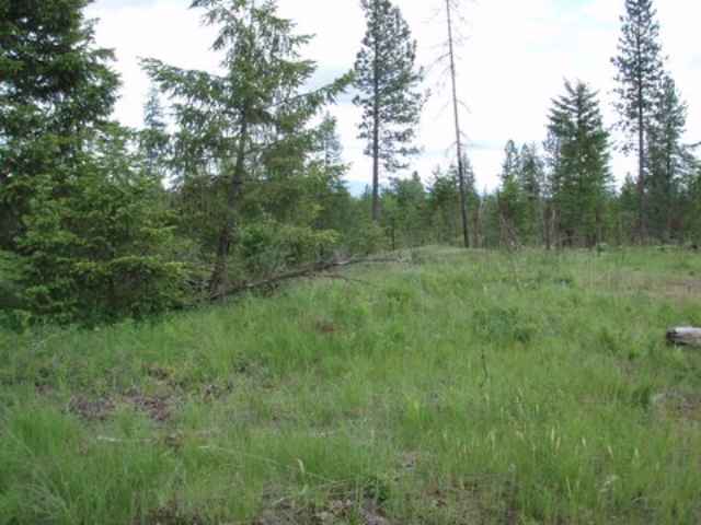 4400 Williamson Road Clayton, WA 99110 - Photo 1 of 1