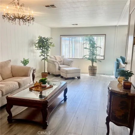 a living room with furniture potted plant and a window