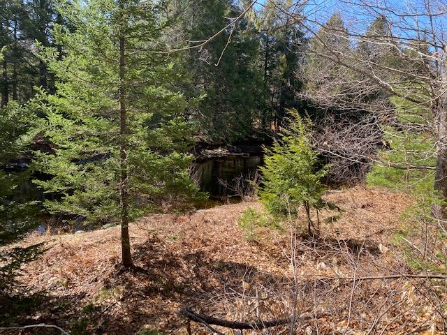 0 Bud Grant Road Monroe, ME 04951 - Photo 6 of 17 IMG_2727