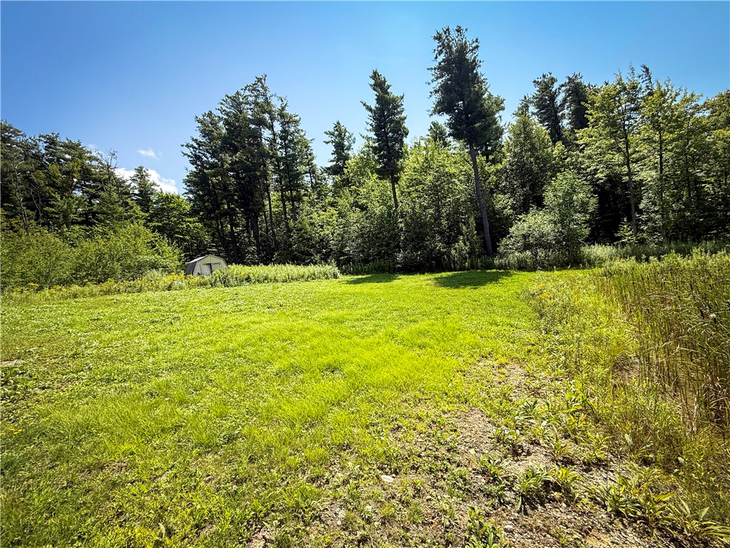 2512 Dunn Road Italy, NY 14418 - Photo 13 of 49 Gallery Image 13