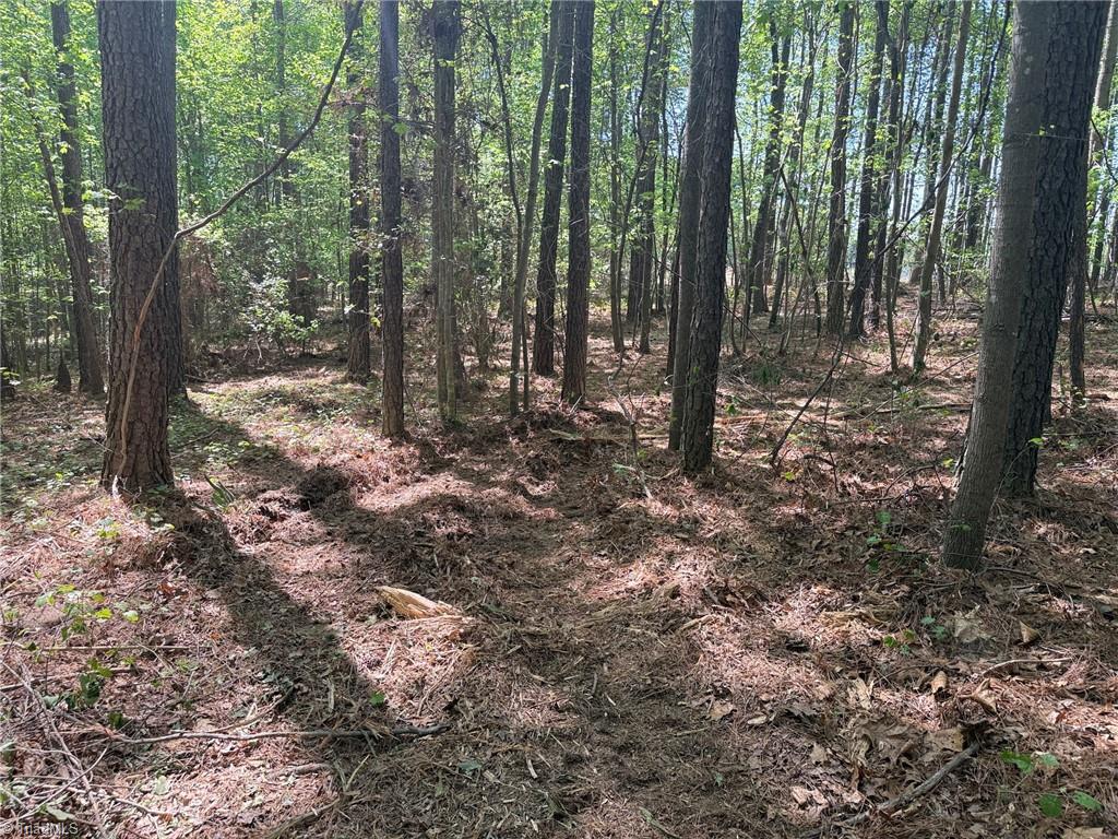 Lot 5 Woods Road Seagrove, NC 27341 - Photo 6 of 9