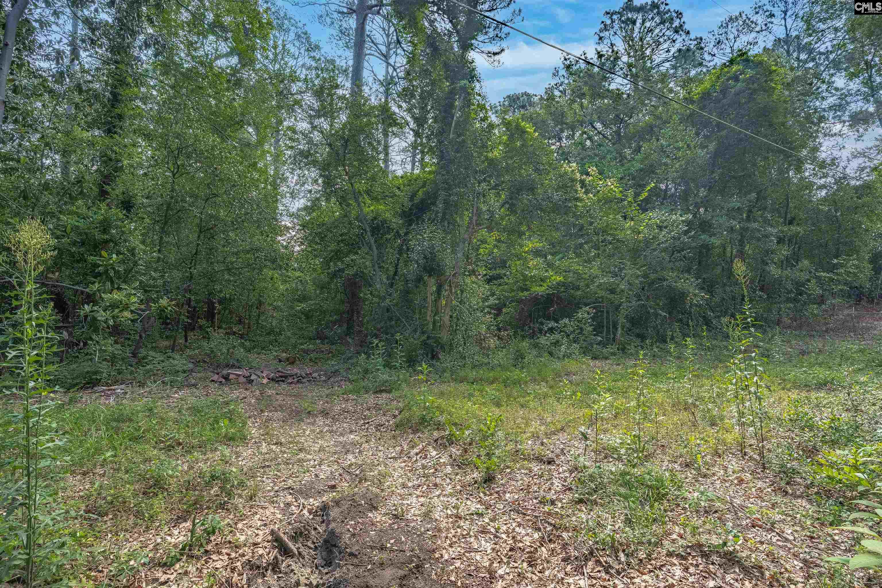 5318 Pinestraw Road Columbia, SC 29206 - Photo 47 of 52