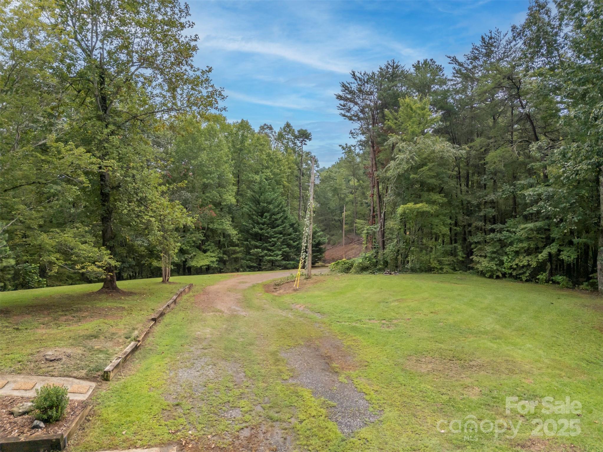 307 Owl Hollow Road Mill Spring, NC 28756 - Photo 29 of 31 a view of a yard with trees in front of it