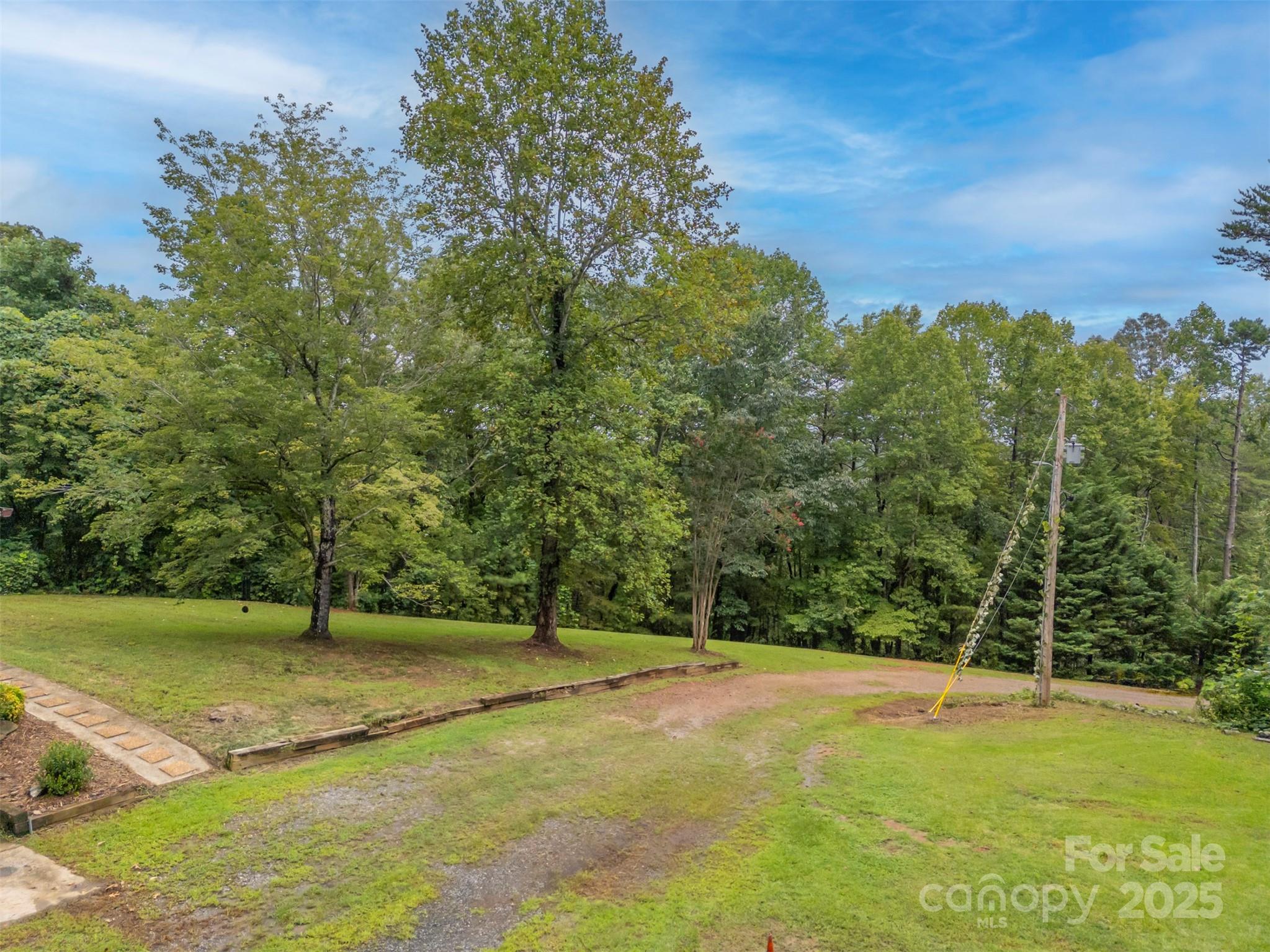307 Owl Hollow Road Mill Spring, NC 28756 - Photo 30 of 31 a view of a yard with a trees