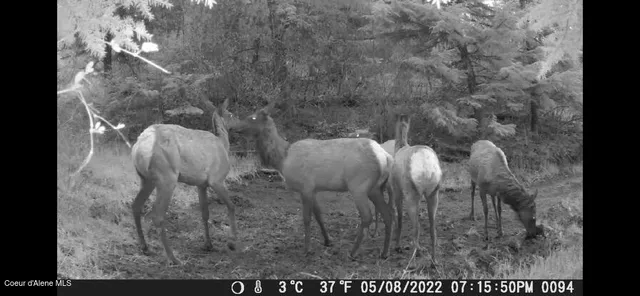 $289,000 | Nna West Conkling Road, Plummer, ID 83851