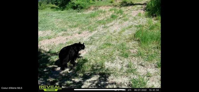 $289,000 | Nna West Conkling Road, Plummer, ID 83851