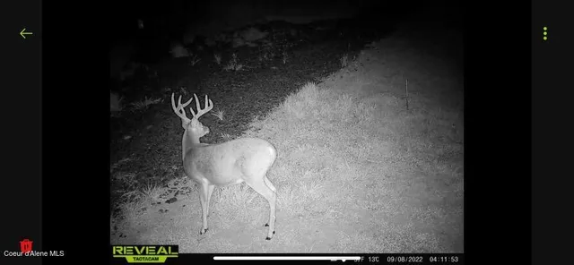 $289,000 | Nna West Conkling Road, Plummer, ID 83851