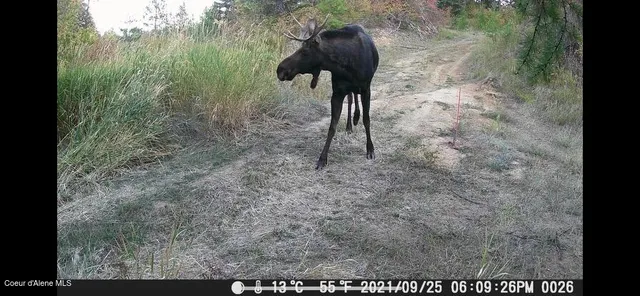 $289,000 | Nna West Conkling Road, Plummer, ID 83851