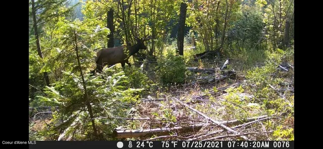 $289,000 | Nna West Conkling Road, Plummer, ID 83851