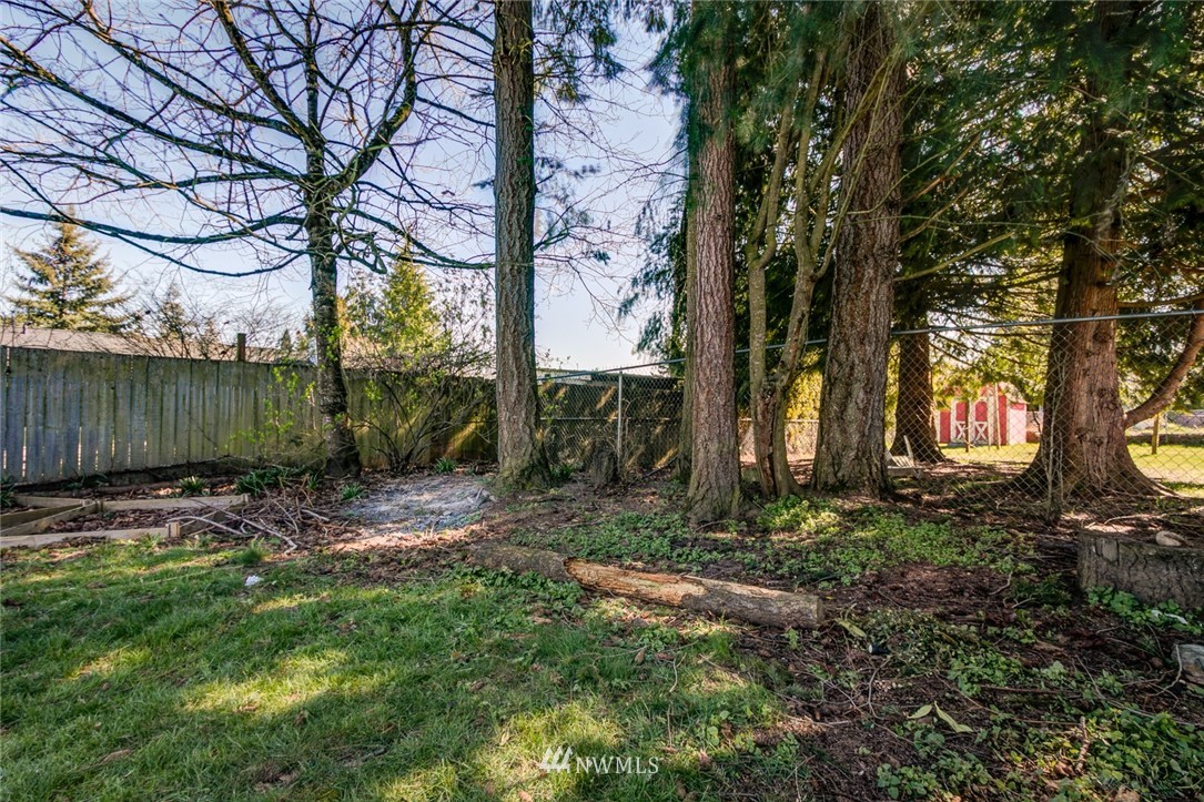 16618 124th Avenue Southeast Renton, WA 98058 - Photo 19 of 21 a view of a backyard with large trees