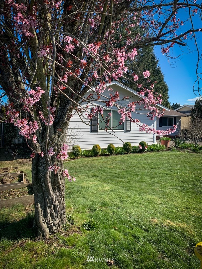 16618 124th Avenue Southeast Renton, WA 98058 - Photo 20 of 21 a front view of a house with a yard porch and wooden fence