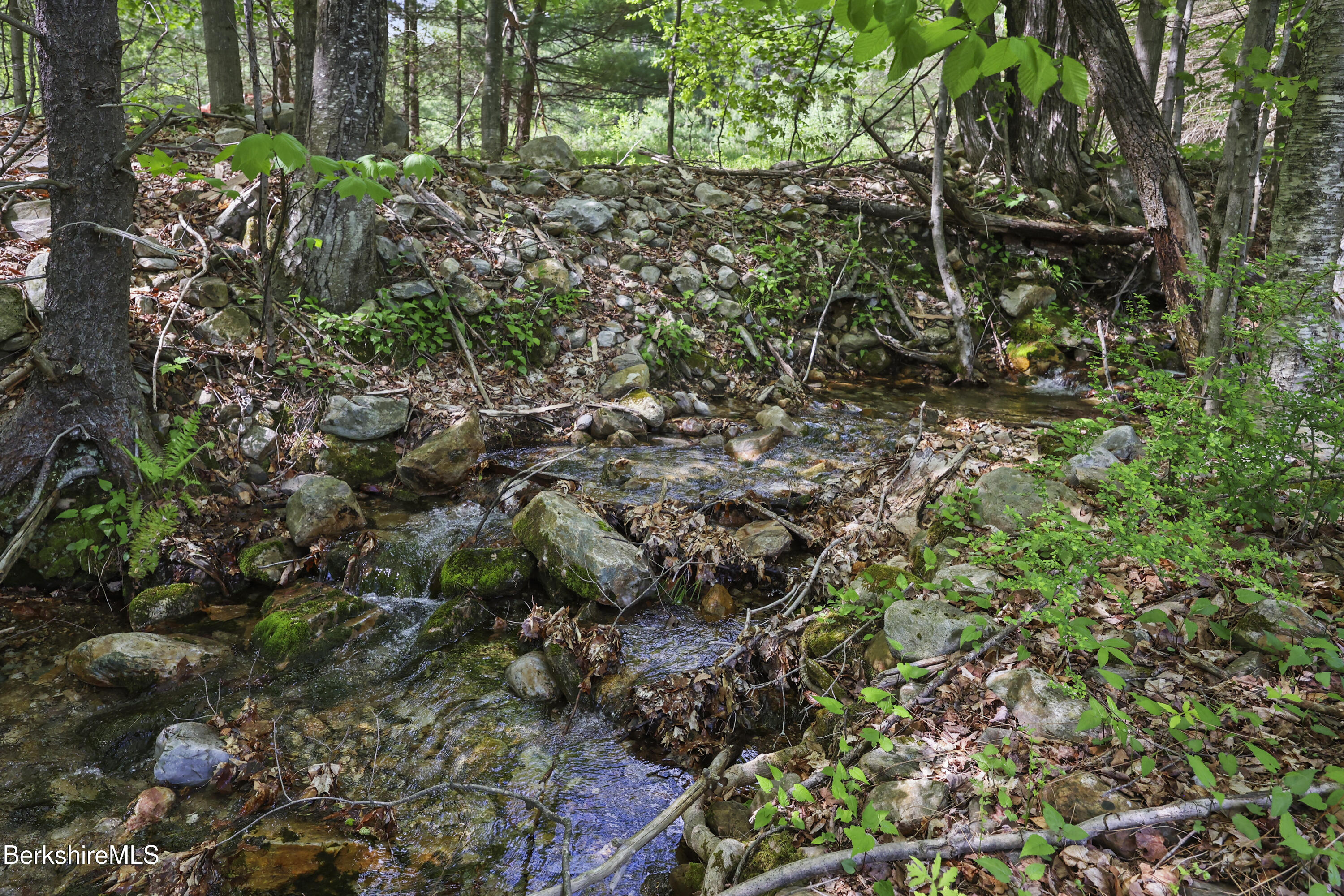 924 Henderson Road Williamstown, MA 01267 - Photo 40 of 51 Broad Brook