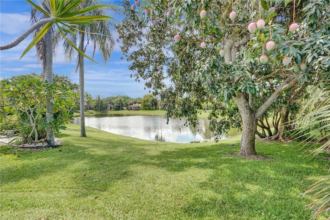 10066 Camelback Lane Boca Raton, FL 33498 - Photo 24 of 34 a view of a yard with a house and large trees