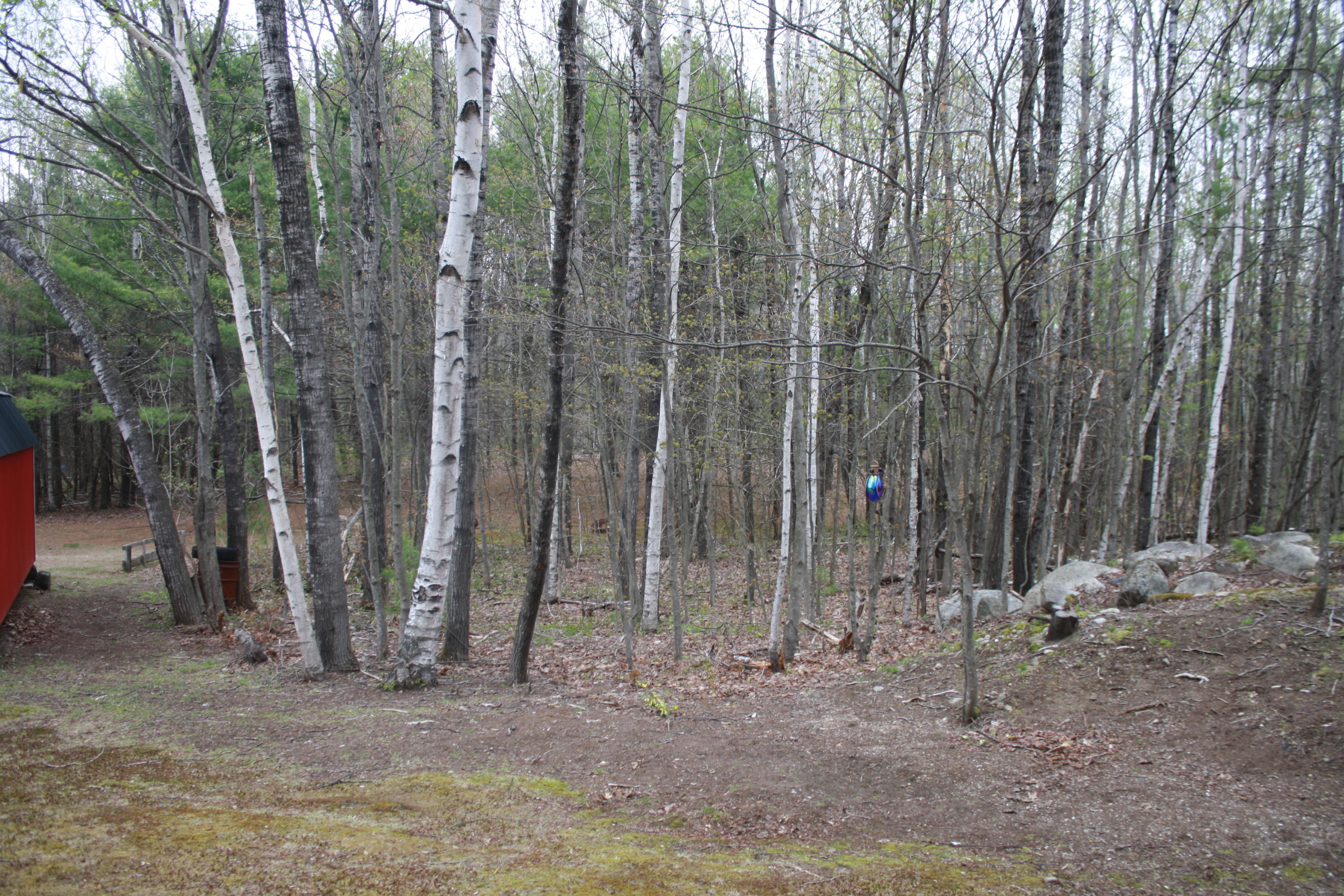 213 Townhouse Road East Waterboro, ME 04030 - Photo 87 of 127 IMG_2533