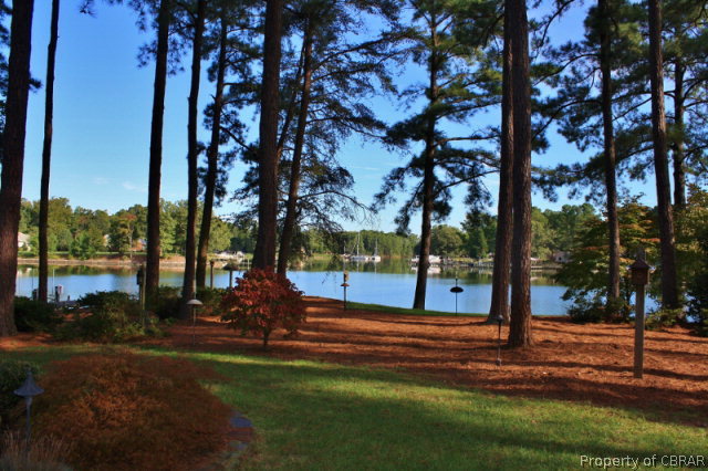 188 Orapax Road Kilmarnock, VA 22482 - Photo 8 of 24
