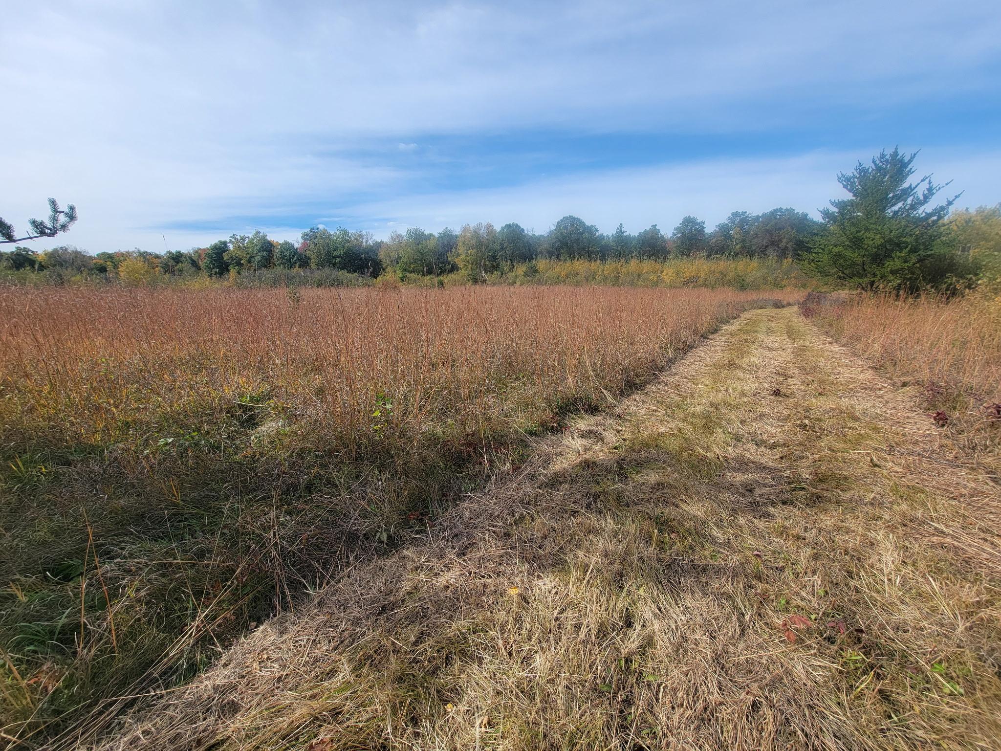 25820 County Road 26 Sebeka, MN 56477 - Photo 78 of 103