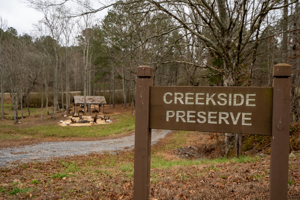 Lot 5 Blalock Mountain Road Talking Rock, GA 30175 - Photo 5 of 22