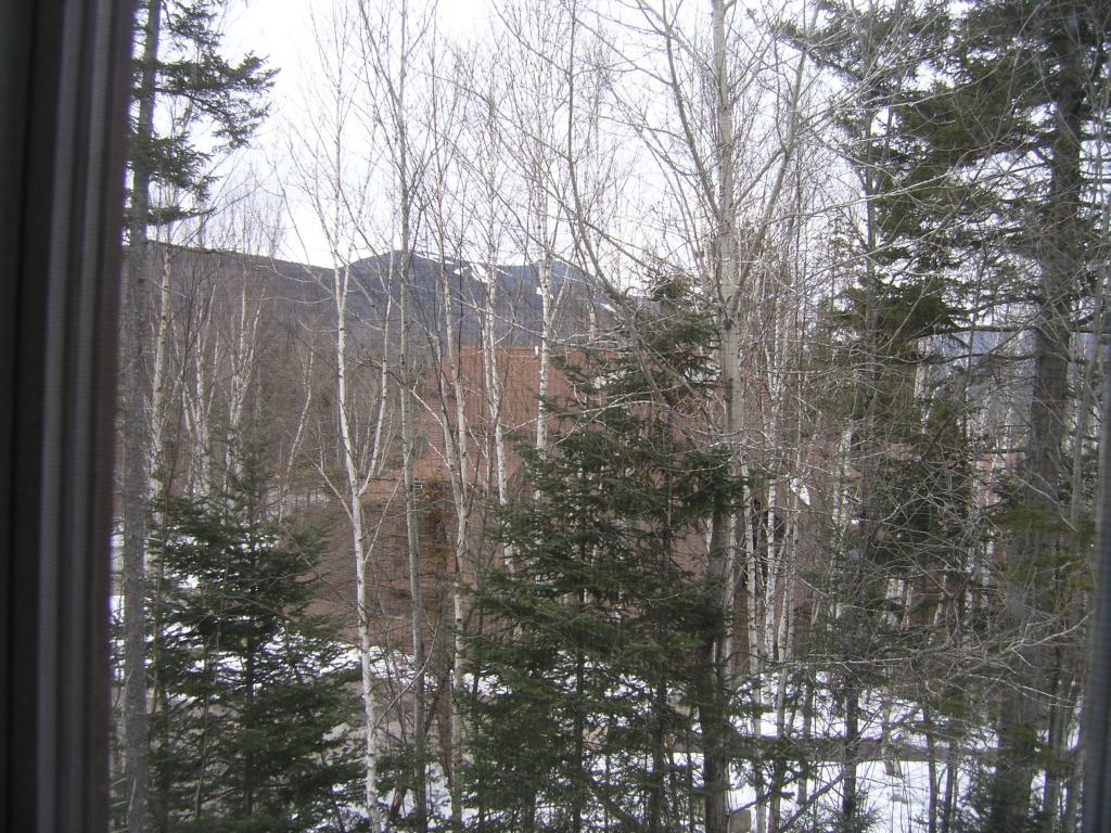 12 Forest Rim Way, Unit E1 Waterville Valley, NH 03215 - Photo 29 of 36 Gallery Image 29