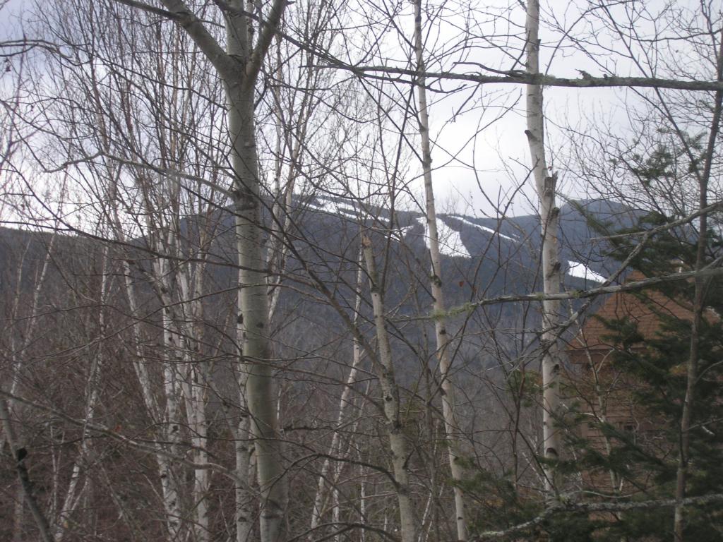 12 Forest Rim Way, Unit E1 Waterville Valley, NH 03215 - Photo 9 of 36 Gallery Image 9