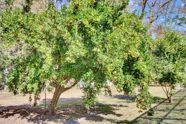 $429,900 | 139 Pecan Drive, Summerville, SC 29483