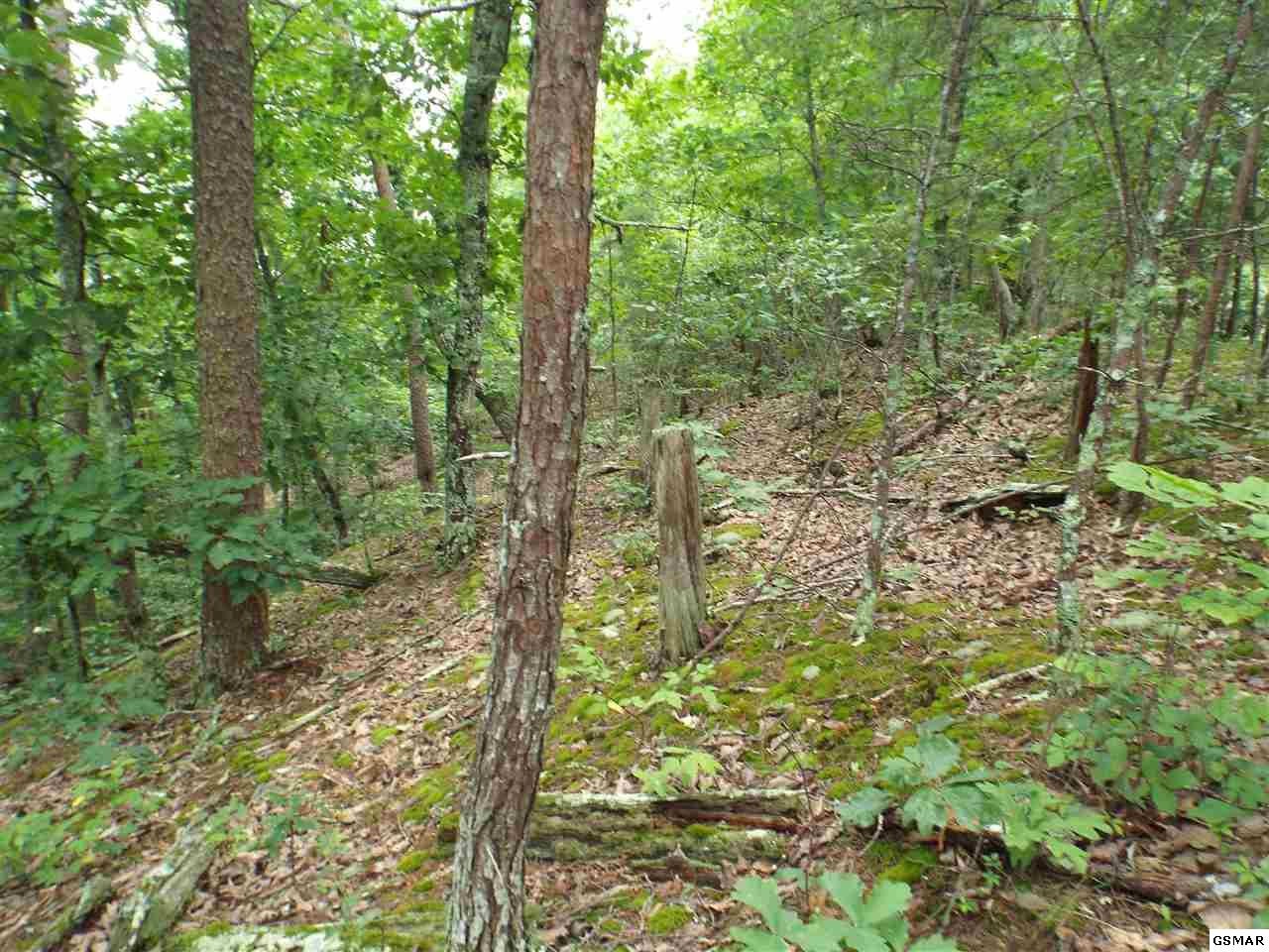 4 Lloyd Huskey Road Pigeon Forge, TN 37863 - Photo 1 of 10