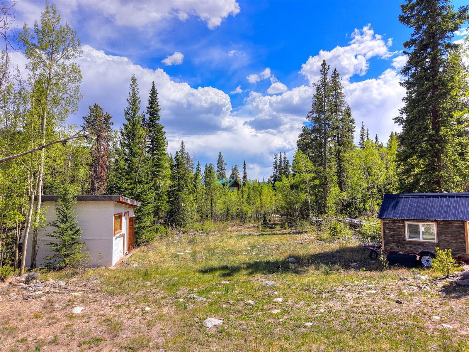 253 Mine Dump Road Alma, CO 80420 - Photo 5 of 13