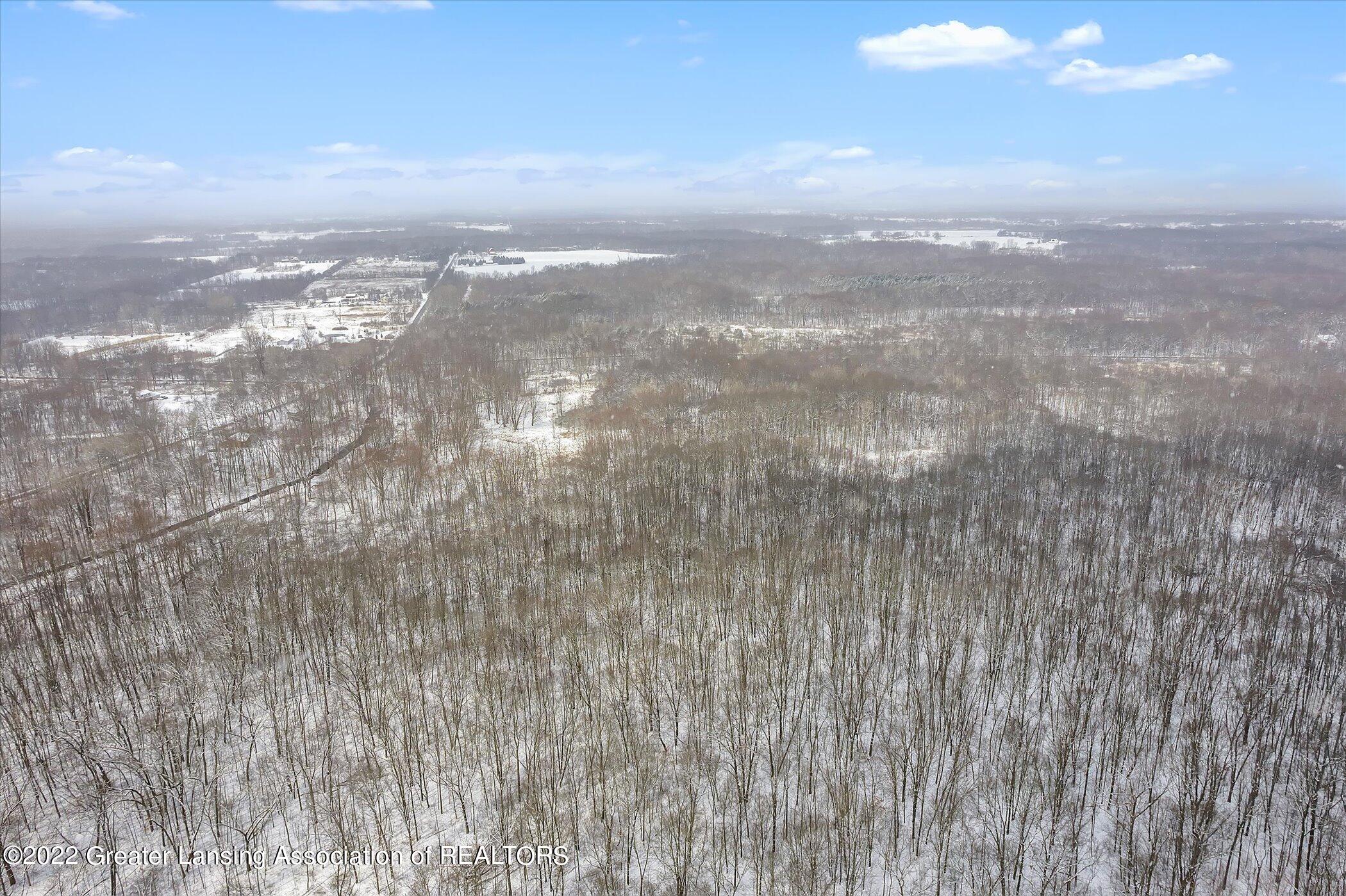 4515 South Williams Road Stockbridge, MI 49285 - Photo 43 of 62 Aerial