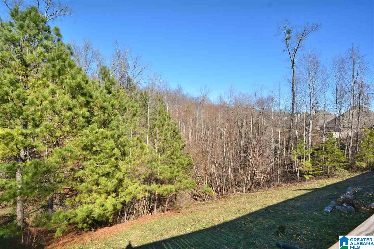 412 Foothills Parkway Chelsea, AL 35043 - Photo 38 of 41
